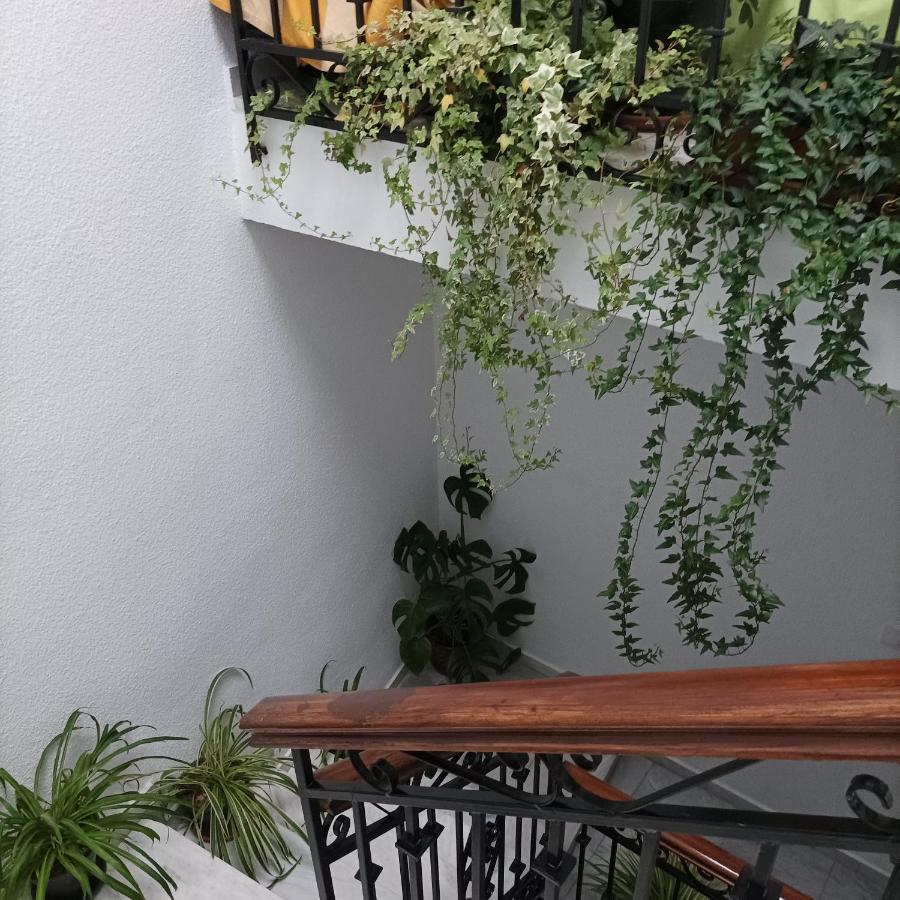 Medina Baguh Διαμέρισμα Priego de Córdoba Εξωτερικό φωτογραφία